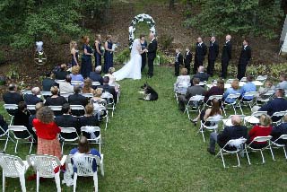 wedding overview